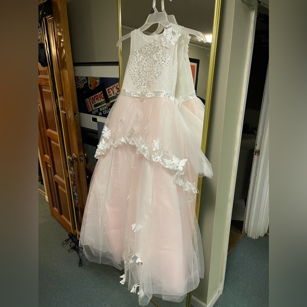 Fancy Flower Girl Dress Kids Lace Applique Pageant Party Ball Gown Blush Pink